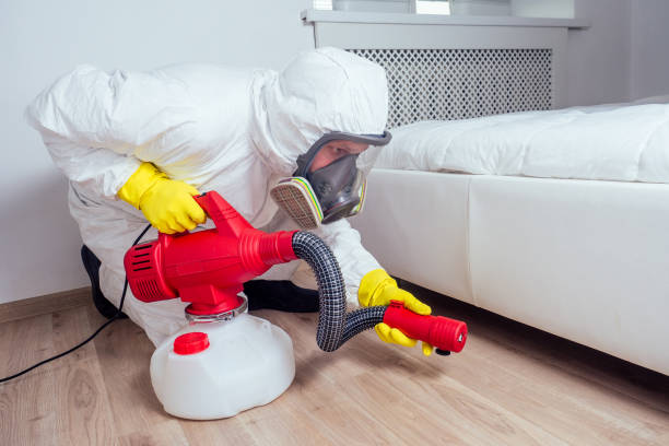 Best Local Pest Control Services  in Camp Verde, AZ