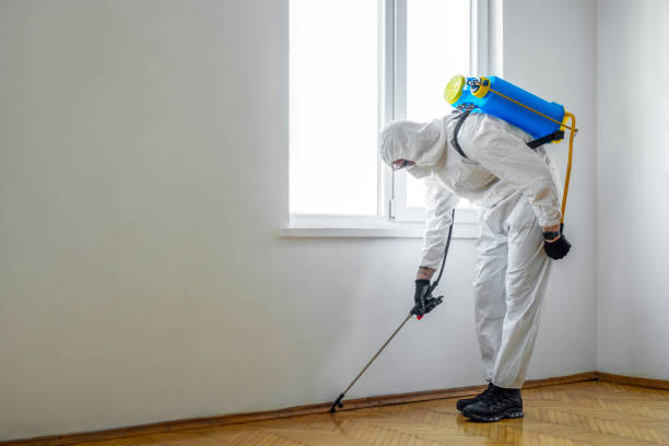 Best Commercial Pest Control Services  in Camp Verde, AZ