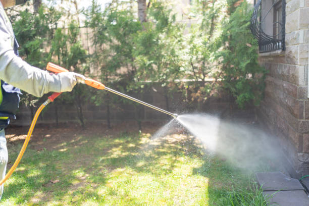 Best Affordable Pest Control Services  in Camp Verde, AZ